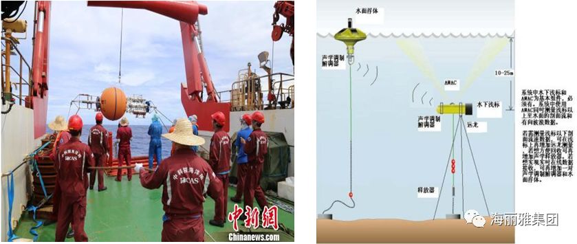 海洋臍帶纜