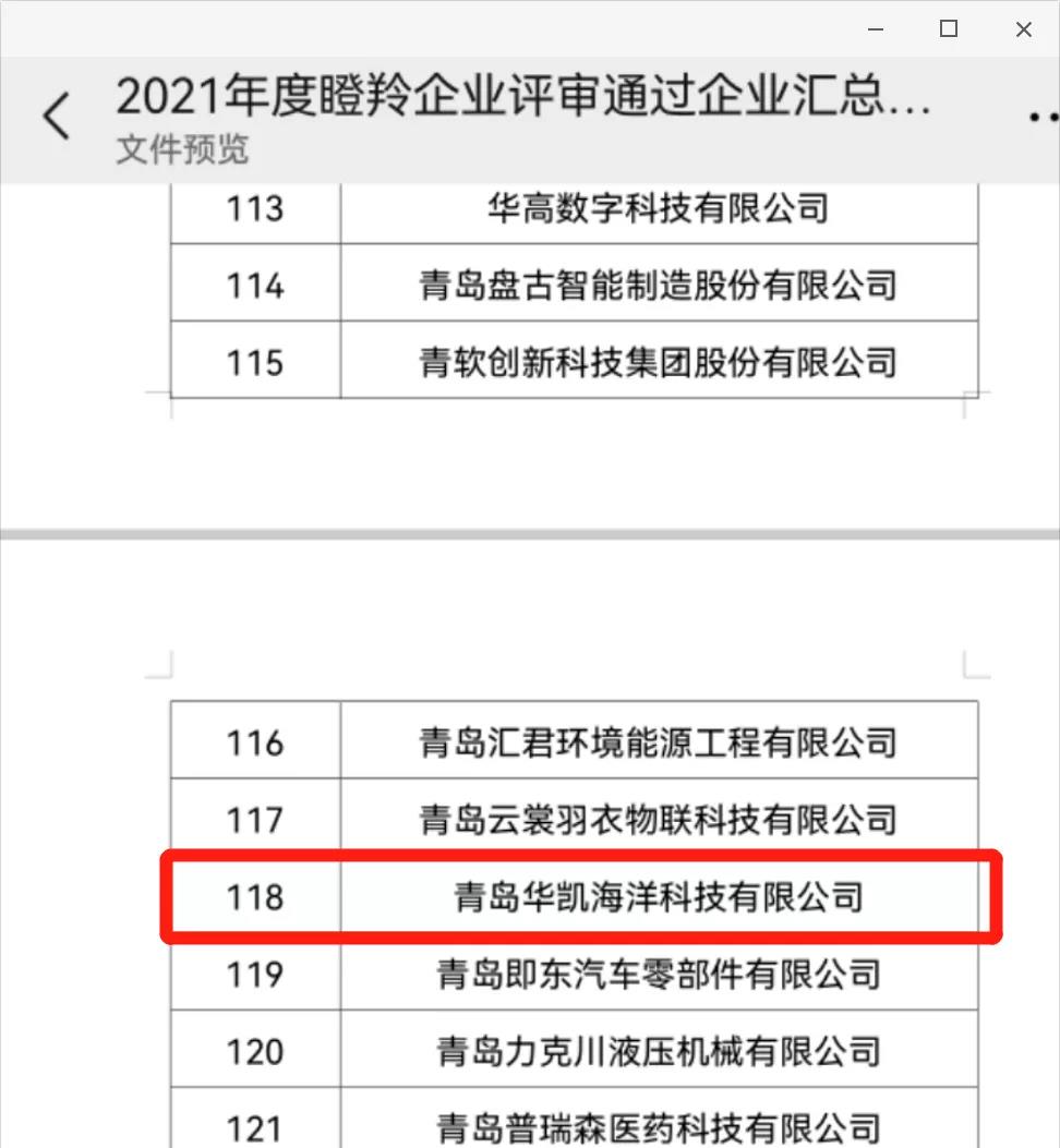 瞪羚企業(yè)